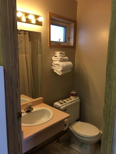 a bathroom with a sink and a toilet and a mirror at Ranchland Villa Motel in Merritt