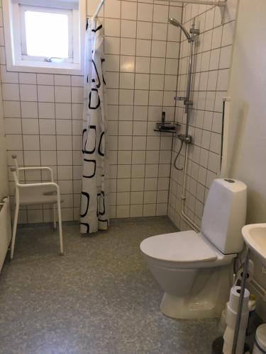 a bathroom with a toilet and a shower and a sink at Kronobergshed vandrarhem och kursgård in Moheda
