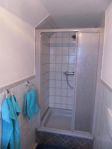 a shower with a glass door in a bathroom at Haus Hasenmüller in Schmiedefeld am Rennsteig