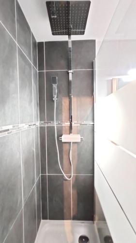 ein Bad mit einer Dusche mit einem Duschkopf in der Unterkunft Le Soleillades - Plage, piscine, parking! in Palavas-les-Flots