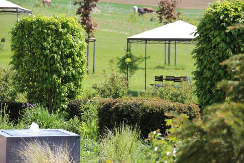 a garden with bushes and a gazebo in a field at Landhotel Rügheim in Rügheim