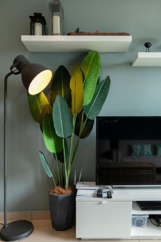 a plant in a pot on a desk next to a lamp at The Tropic@Midhill Genting (Free Wi-Fi) in Genting Highlands
