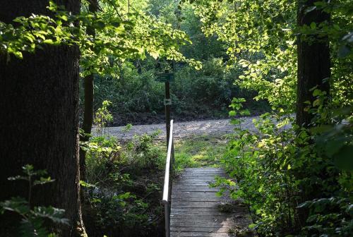 a wooden path through a forest with a sign on it at Landgasthof Zum Kirchenwirt in Kellberg