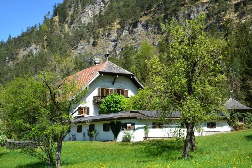 a white house in front of a mountain at Pension Almhof Baumgarten in Bad Reichenhall