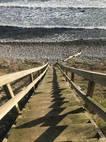 a wooden pathway leading to the beach with the ocean at Botanikerns hus in Löderup