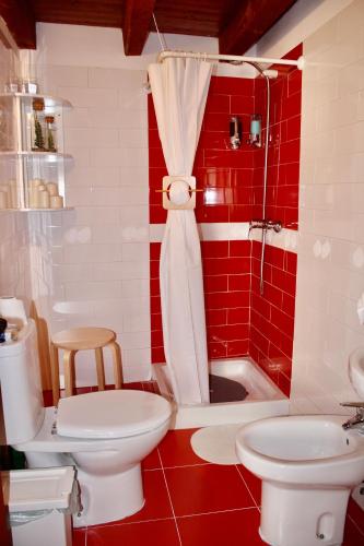 a red bathroom with a toilet and a shower at Ático dúplex en Centro Histórico Toledo in Toledo
