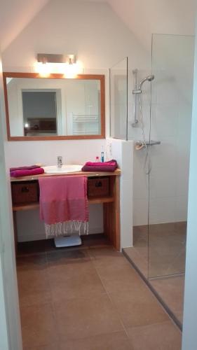 a bathroom with a sink and a mirror and a shower at little cottage in Lasne