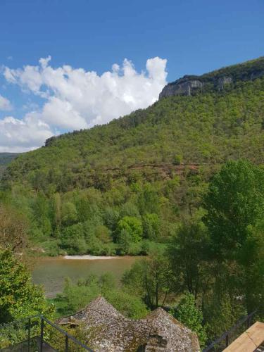 a view of a mountain with a river and trees at Le Sahuc in Rivière-sur-Tarn