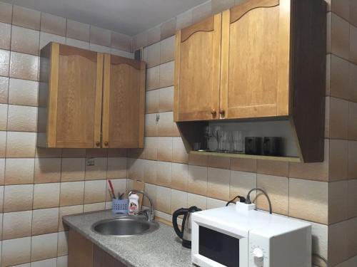 a kitchen with a sink and a microwave at Уютная квартира рядом с метpo Холодная гора in Kharkiv