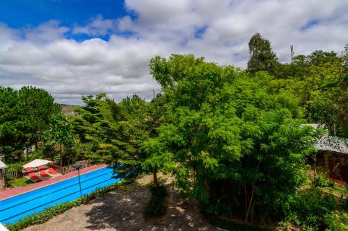 a view of a swimming pool with a tree at Maison entière ChezSoa, antananarivo in Andoharanofotsy
