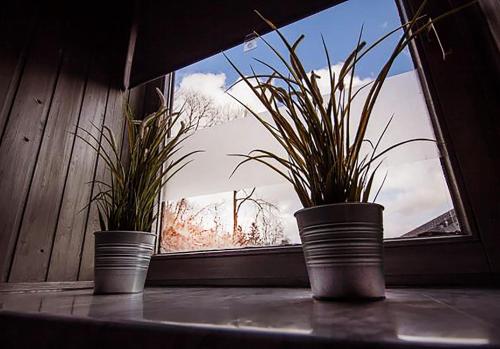 two potted plants sitting on a window sill at DF am Ring Nürburg in Nürburg