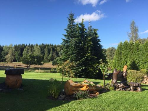 a garden with logs and trees in the grass at Ferienwohnung Jüdel mit Saunanutzung in Grünhain-Beierfeld