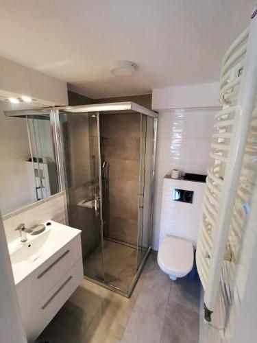 a bathroom with a shower and a toilet and a sink at Dom Goscinny Ewa in Władysławowo