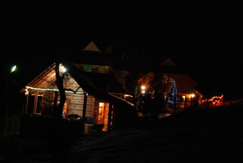 a house lit up at night with a christmas tree at Rakhiv Plai in Rakhiv