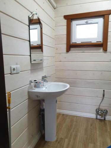 a bathroom with a sink and a mirror at Дворик Софии in Gribovka