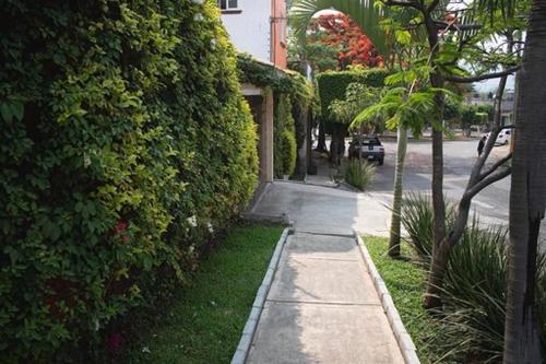 Κήπος έξω από το Villa Mont