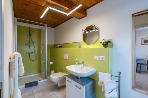 ein Bad mit einem Waschbecken, einem WC und einer Dusche in der Unterkunft Haus Burk 5.0 in Forchheim