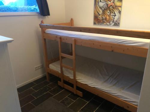a bunk bed in a room with a tiger picture at Paradise in Dirkshorn
