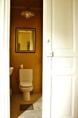 a bathroom with a toilet and a mirror at Tolosa un mundo de sensaciones in Tolosa