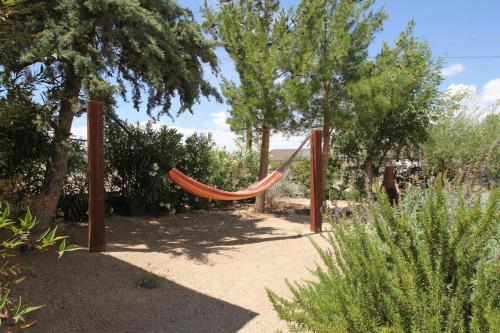 Oasis of Charm – Photos 3