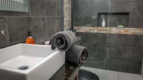 Villa Strelitzia Cabarete tesisinde bir banyo