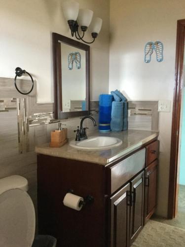 a bathroom with a sink and a toilet and a mirror at Ocean View Villas in Jost Van Dyke