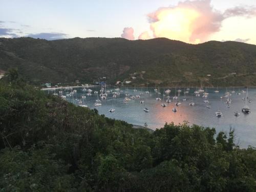 a group of boats are docked in a harbor at Ocean View Villas in Jost Van Dyke