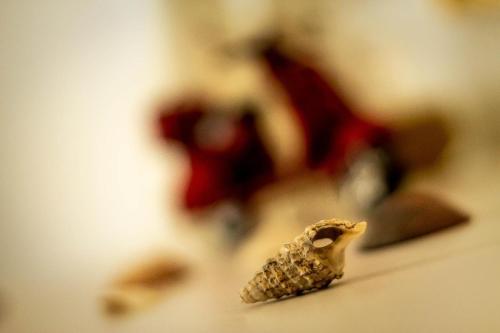 a close up of a piece of corn at Guest House Camilla in Alghero