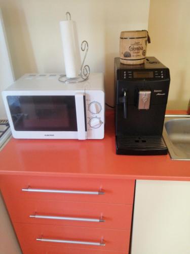 a microwave and a toaster oven on a red counter at Casa Ovi și Simo in Haţeg
