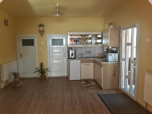 a kitchen with a counter and a refrigerator and a door at Gabriella vendégház in Lăzarea