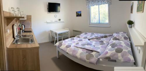 a small bedroom with a bed and a sink at Apartmány Nad Parkem in Broumov