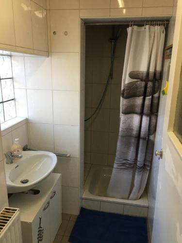 a bathroom with a sink and a shower with a shower curtain at Ferienwohnung Marienhof OG in Seelbach