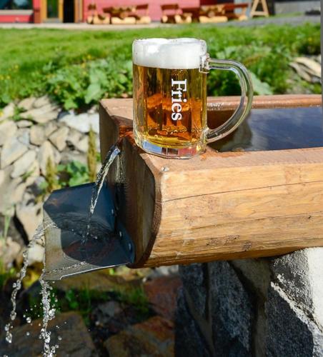 a mug of beer sitting on top of a water fountain at Penzion Andula Friesovy boudy in Strážné