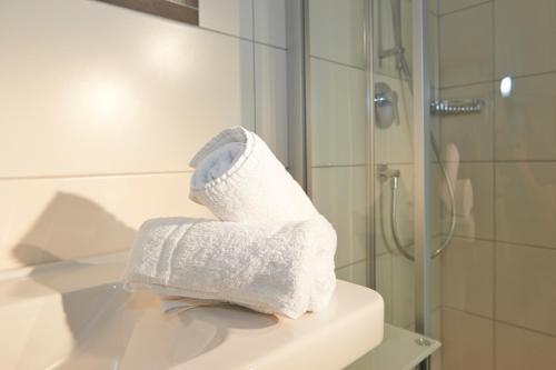 A bathroom at Alpine Active Weitgasser