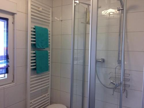 uma casa de banho com uma cabina de duche em vidro e um WC. em Ferienwohnung Anke Kaufmann em Miltenberg