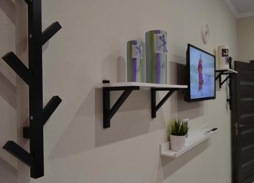a wall mounted shelf with a tv on a wall at Апартаменты Park & House 8 рядом с источником и парком in Essentuki
