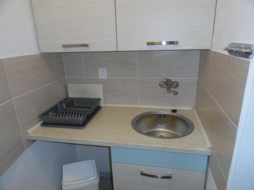 a small bathroom with a sink and a toilet at Apartmán Sluka in Jilemnice