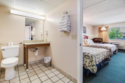 a bathroom with a toilet and a bed in a room at Mountain Breeze Motel in Pigeon Forge