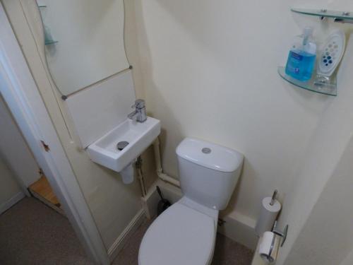 a small bathroom with a toilet and a sink at Birdholme House in Chesterfield