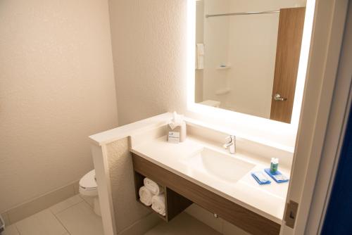 y baño con lavabo y espejo. en Holiday Inn Express & Suites - Fort Wayne North, an IHG Hotel, en Sunnybrook Acres