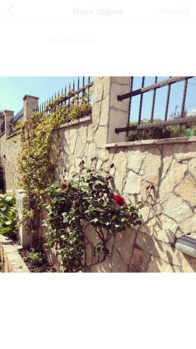 a stone wall with flowers growing on it at Apartments Mrdak in Bar
