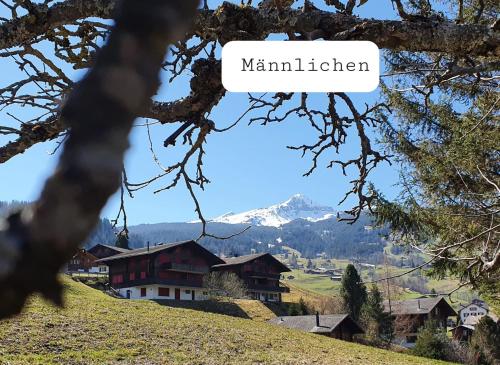 a mountain in the distance with a sign that reads mammalianhedon at Chalet Wärgistal in Grindelwald