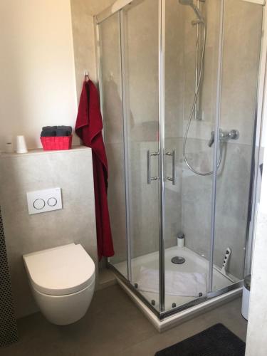 a bathroom with a shower and a toilet at Maggies-Apartment-Hannover in Hannover