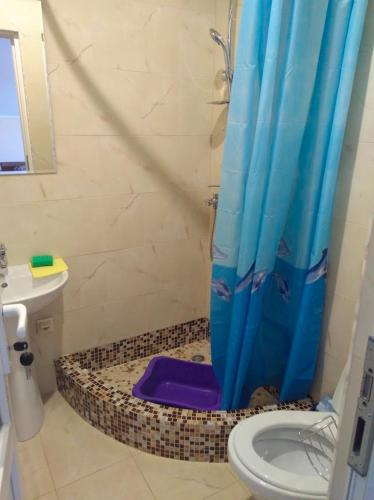 a bathroom with a shower with a blue shower curtain at Mini-Dacha in Kurortne