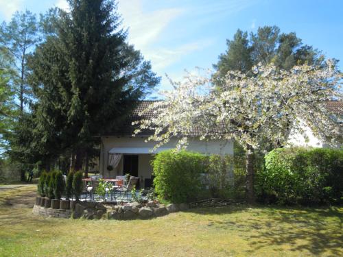 a house with a flowering tree in the yard at Lenzer Ferienidyll am Plauer See in Lenz