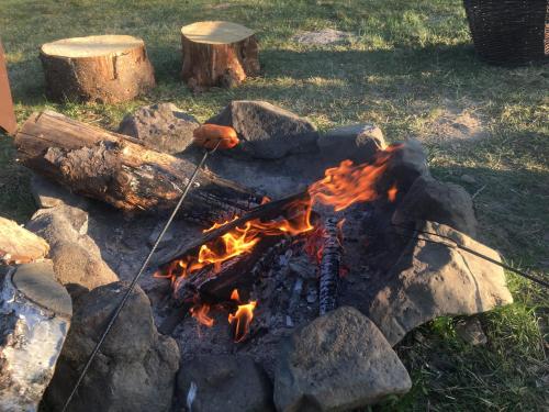 a fire pit with rocks and logs in the grass at Chalupa Krompach in Krompach
