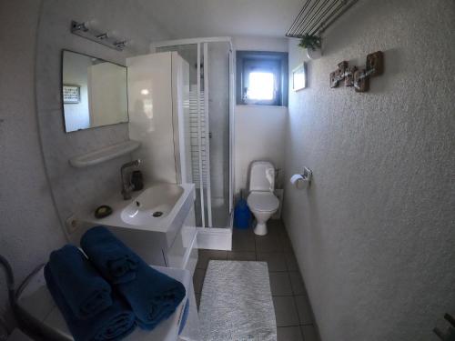 Kylpyhuone majoituspaikassa l'Hippodrome