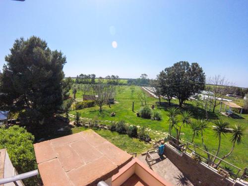 una vista sul tetto di un parco con alberi e erba di Villa Enli a Capalbio