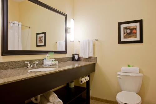 Kupatilo u objektu Holiday Inn Express Hotel & Suites Prattville South, an IHG Hotel