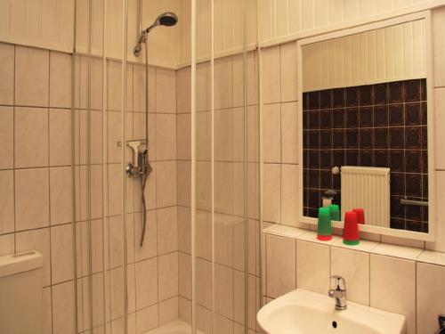 a bathroom with a shower and a sink at Gut Karlsminde in Waabs